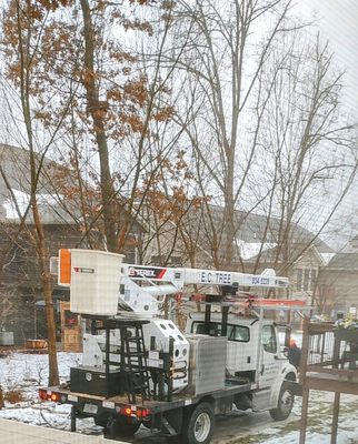 Saw this truck parked in my backyard. I had zero contract with them, but they thought it was okay to trim my neighbor's trees. Disgusted!