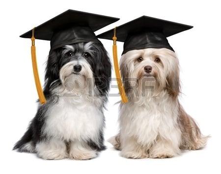 Join our happy graduates!