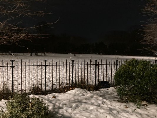 Dyker Beach Park Dog Run