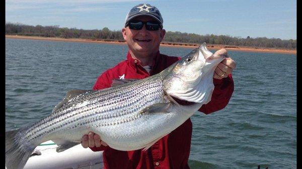 Lure Only Striper Guide on Lake Texoma! Captain John Blasingame putting big Striper in the net since 1999