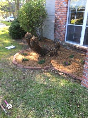 Harris Mulch and Pressure Wash