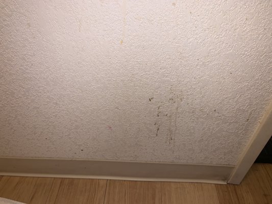 Unknown stains on bathroom wall.