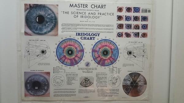 Dr. Chen practices Iridology. The iris is able to detect inner health issues on a deep level.