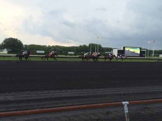 Here are horses running on track, bet on them and enjoy Japan Day