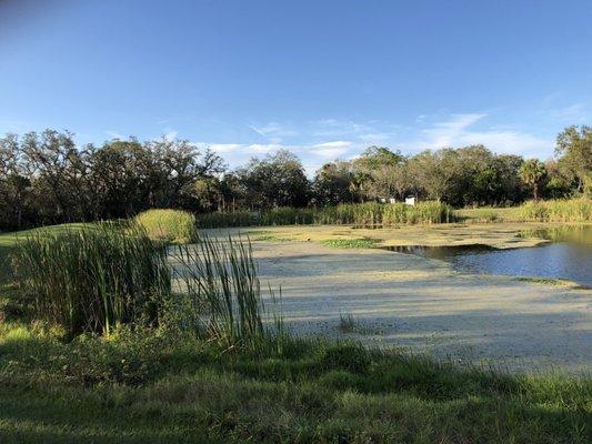 Small lagoon in the front part of the preserve