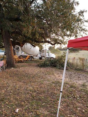 River City Ready Mix truck iny horse fence once they hacked off branches from a 200 year old tree.