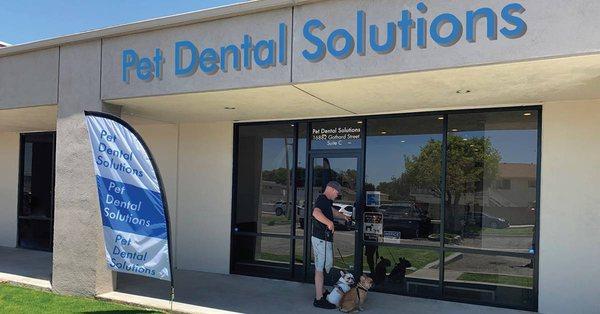 Pet Dental Solutions