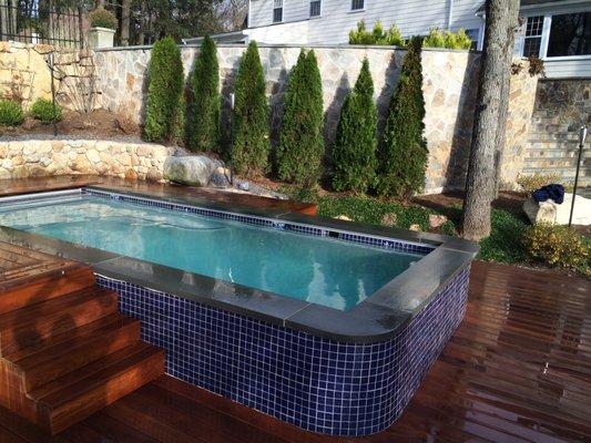 Custom gunite swim spa with beautiful bluestone edging and tile.