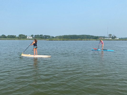 Dragonfly Paddle & Fitness