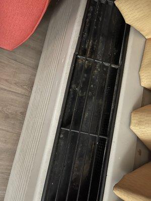 mold in air conditioner