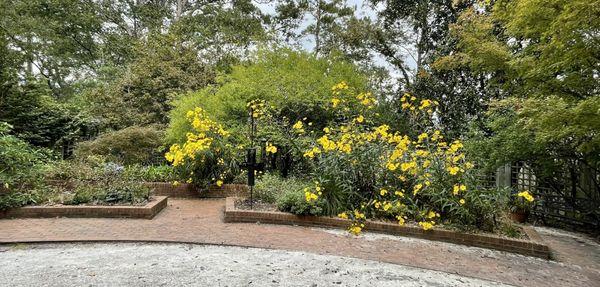 Behind (to the north of) the house is a lovely garden attracting various birds, just above the steep drop-off to the swamps and Black Creek.