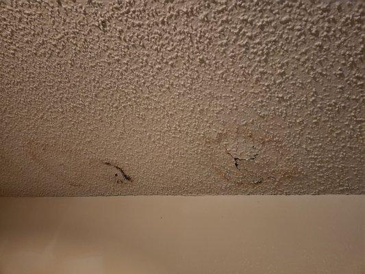 Mildew from the water falling in the kids bed. And another hole from water falling