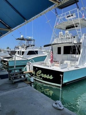 THE FLEET in Haulover park sunny isles