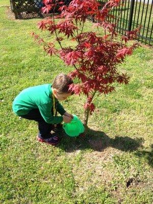 Earth day tree planting