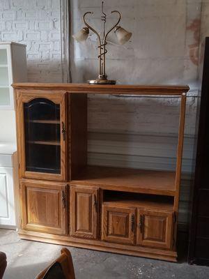 Entertainment center on wheels $100.00