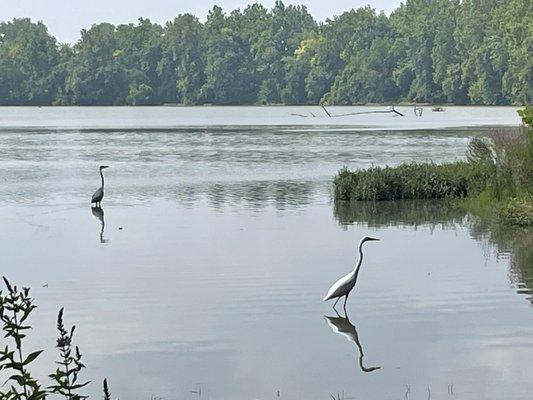 Huffman Dam Metropark