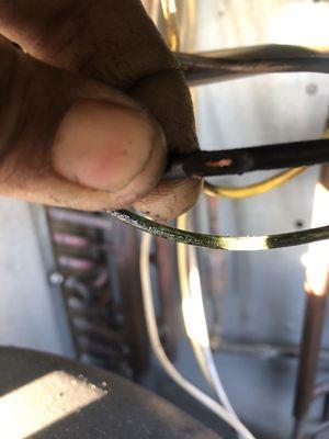 Condenser fan would not run on the AC unit. No one else could find this damaged wire except for us!