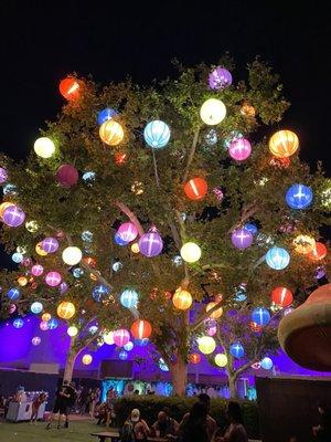 Lantern tree