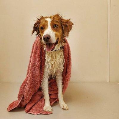 Clean out of the tub!