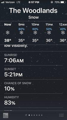 The 10% chance of snow won out!