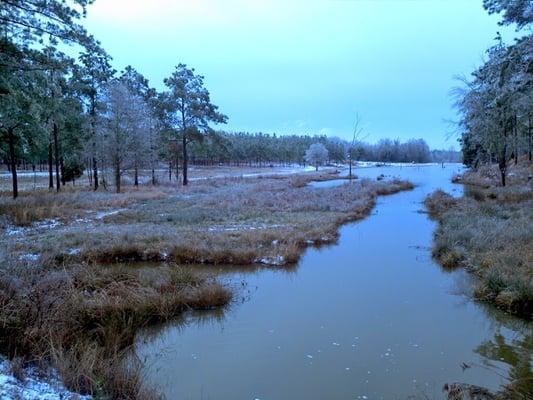 Winter at Piney Woods Lodge