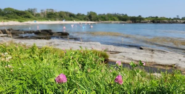 Kettle Cove State Park