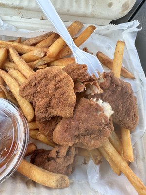 Overcooked Chicken Tenders and Fries