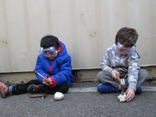 Look at us being paleontologists, using hammers and brushes to uncover dinosaur bones.