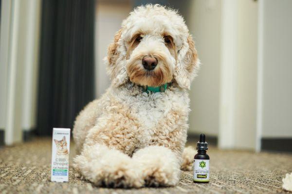 Thanks to Sammy, our 8B mascot, we carry a full line of pet formulated products.