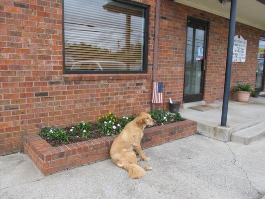 Lavergne Veterinary Clinic