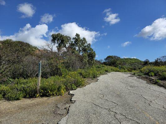 Arroyo Pescadero Park