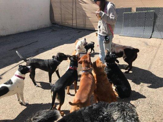 Training while in daycare