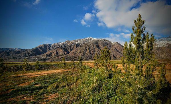 El Dorado Ranch Park,Yucaipa,California is beautiful throughout the year-especially after a clearing winter storm! A must see!