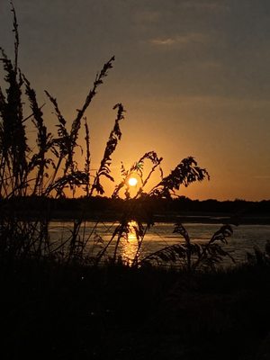 Short little walk on the beach and had to capture this beauty.