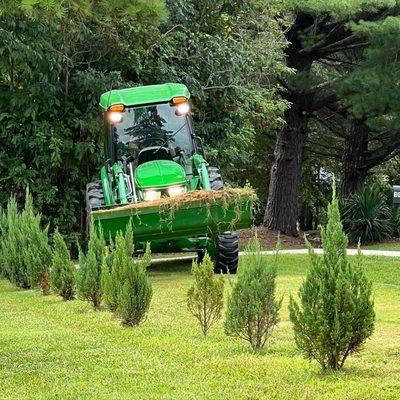 Hill grading project, and tree installation