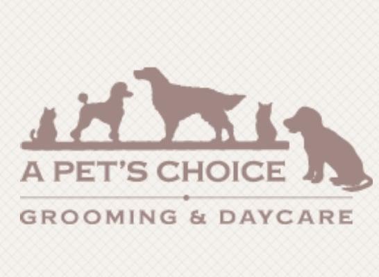 A Pet's Choice