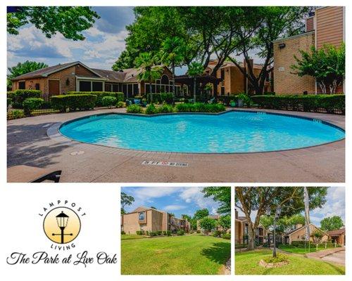 The Park @ Live Oak Apartments