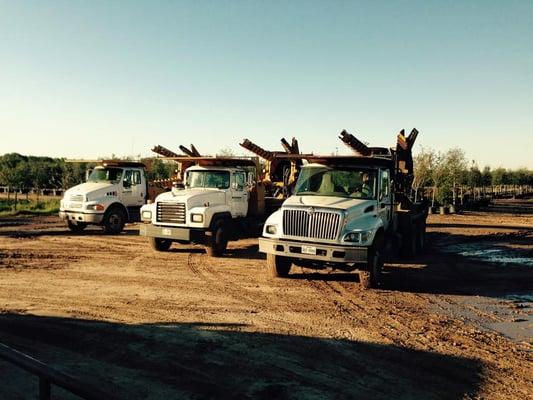 Independent Tree Services