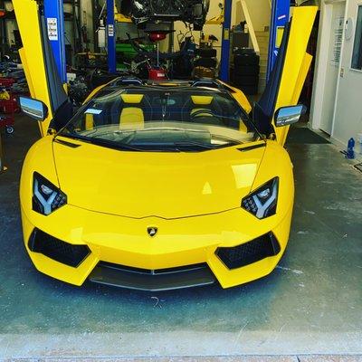 Lamborghini Aventador in For full service and front end Paint