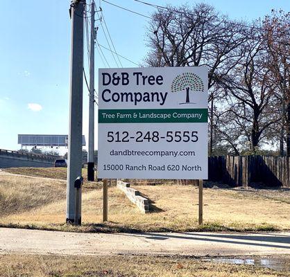 Nice selection of trees at D&B Nursery. A hidden gem of a tree nursery!