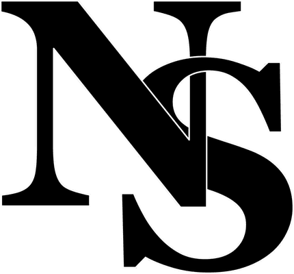 NS Logo