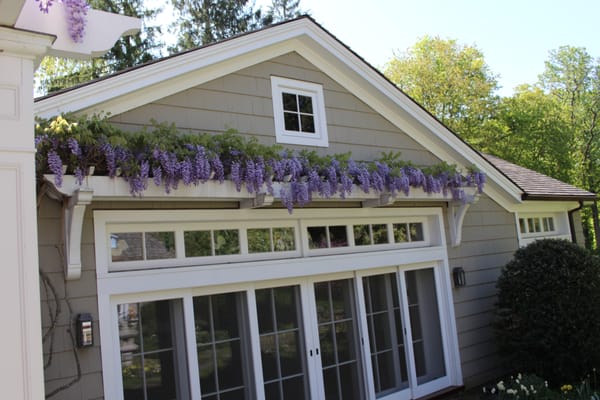 Window Flower Treatments