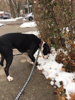 First walk !