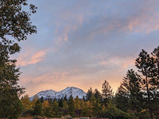 View of Mount Shasta from our property.