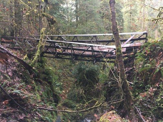 Tish Creek Trail Bridge Replacement, Oregon (Before)