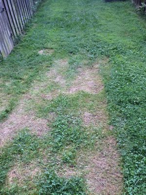 This is the one out grass going down a hill next to my house. The association didn't see a problem with it. But they are going to revisit it