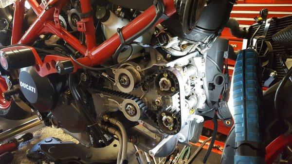 Ducati Valve adjustment and timing belt replacement.