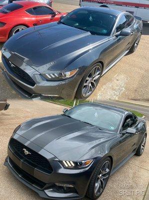 Satin black stripes on Mustang