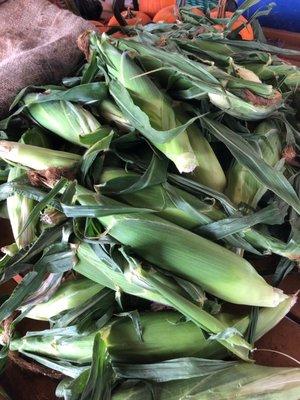 Sweet white corn picked fresh daily Delicious!