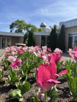 Washington Park Botanical Garden